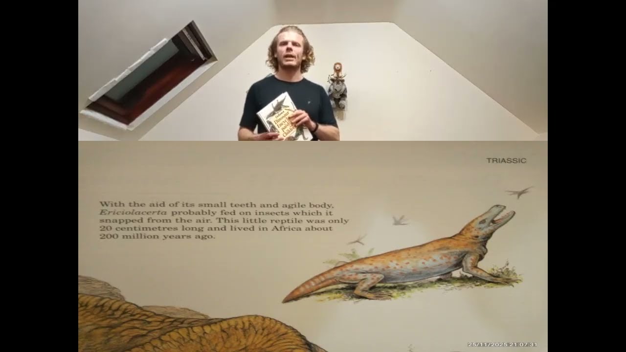 Dinosaurology Part 33, Ericiolacerta, and Median Plane Training, Reg. JDJTCZUG