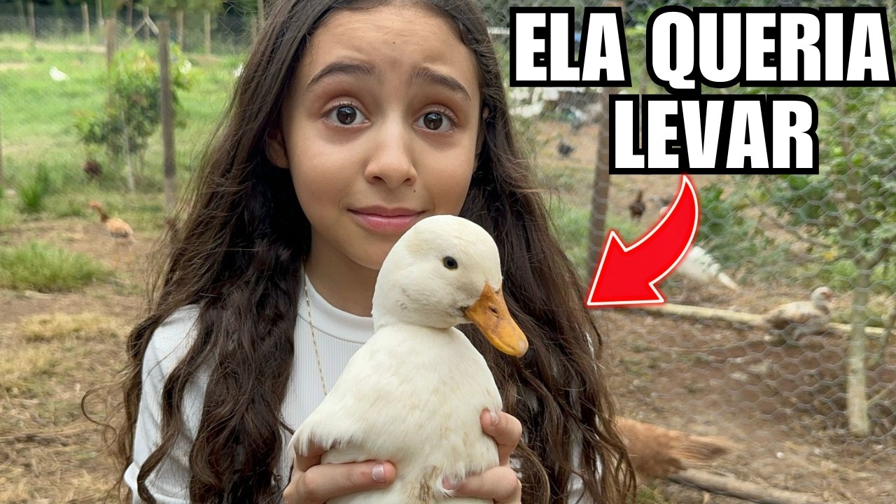 A LINDA Cria&ccedil;&atilde;o de AVES ORNAMENTAIS e Mini cabras do Ber&ccedil;o das Aves, VAMOS LEVAR ? ?  | Ave Recriar