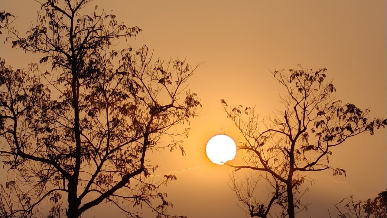 Akash Jure Suninu | A Dreamy Rabindrasangeet Amidst Sky & Flowers 🌤️🌸 | Letters 2 Lata DD countdown 