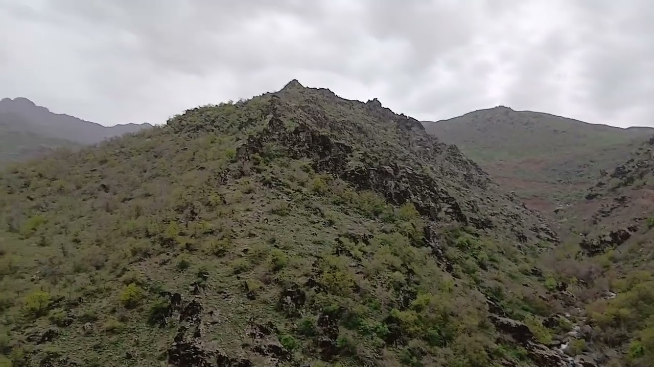 ٣١ يناير ٢٠٢٦