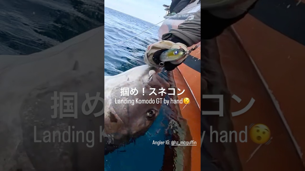 【コモド諸島】掴め！スネコン220S。良型GTをハンドランディング。#bluebluefishing