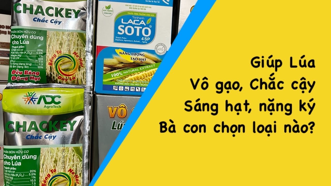 Top 4 sản phẩm vô gạo dạng Gói hiệu quả