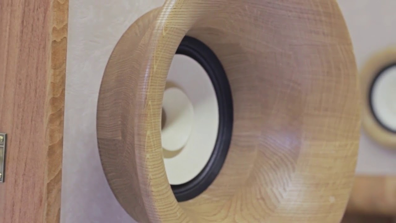 Pure sound Evolution speakers Wooden variant