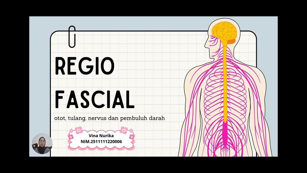 TUGAS VIDEO ANATOMI SISTEM REGIO FASCIALIS Dr. dr. Oski Illiandri, M.Kes