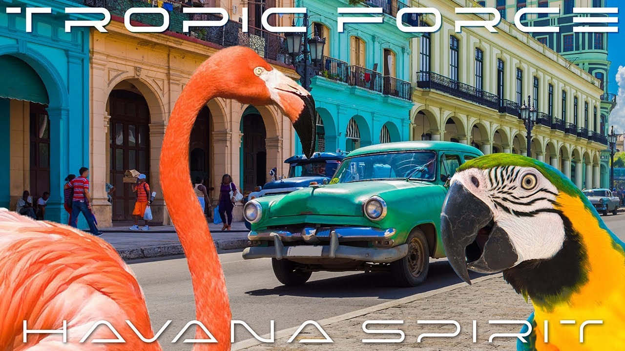 TROPIC FORCE - Havana Spirit (promo excerpt)