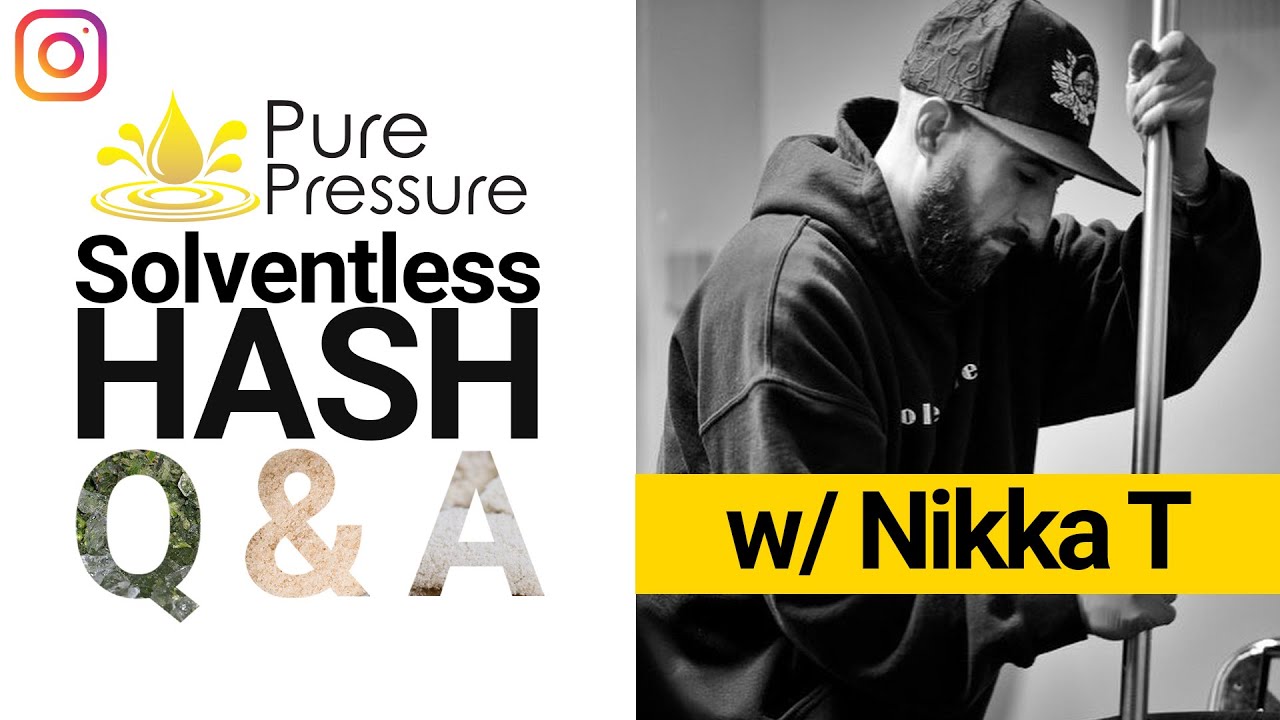 Solventless Hash Q&A: Nikka T on Hash Past, Present, and Future
