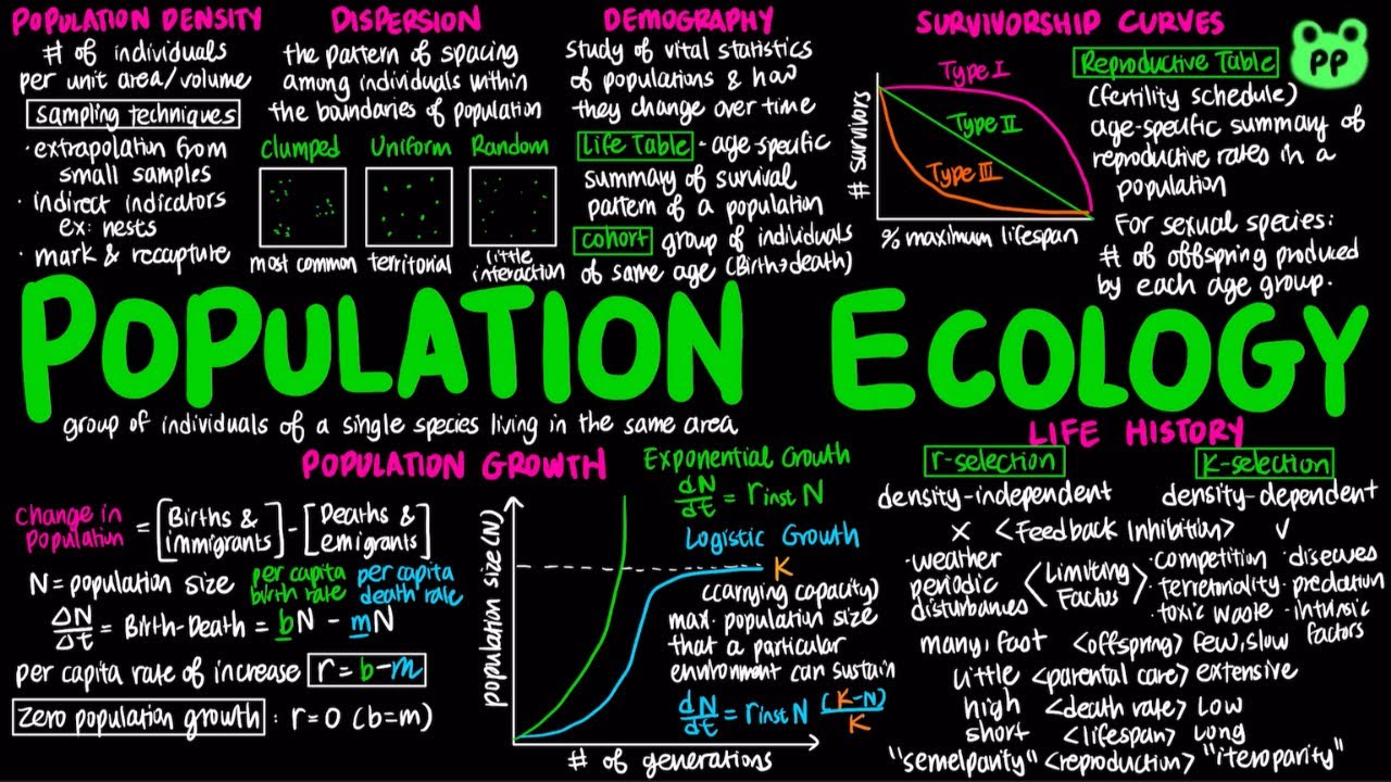Population Ecology | Ecology 02 | Biology | PP Notes | Campbell 8E Ch. 53