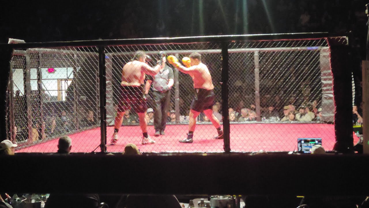 3fightBrayden