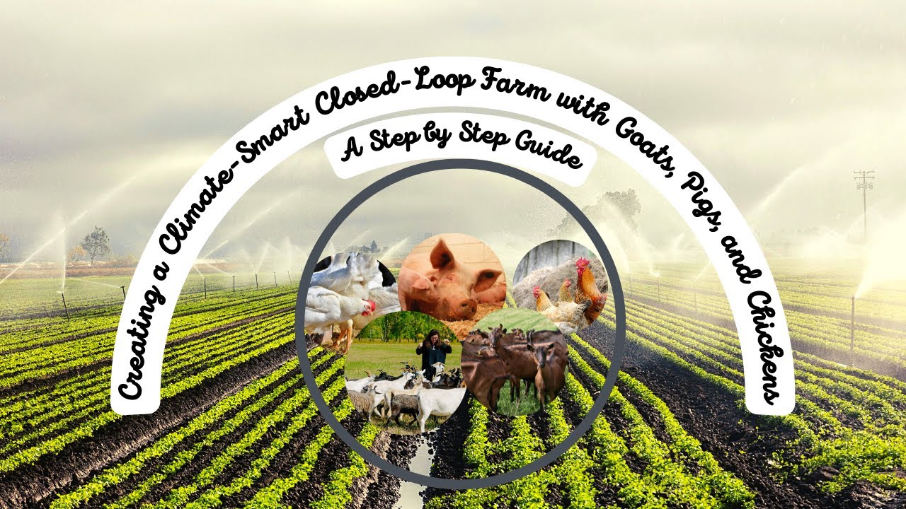 Creating a Climate Smart Closed Loop Farm Using Goats, Pigs, and Chickens: A Step By Step Guide
