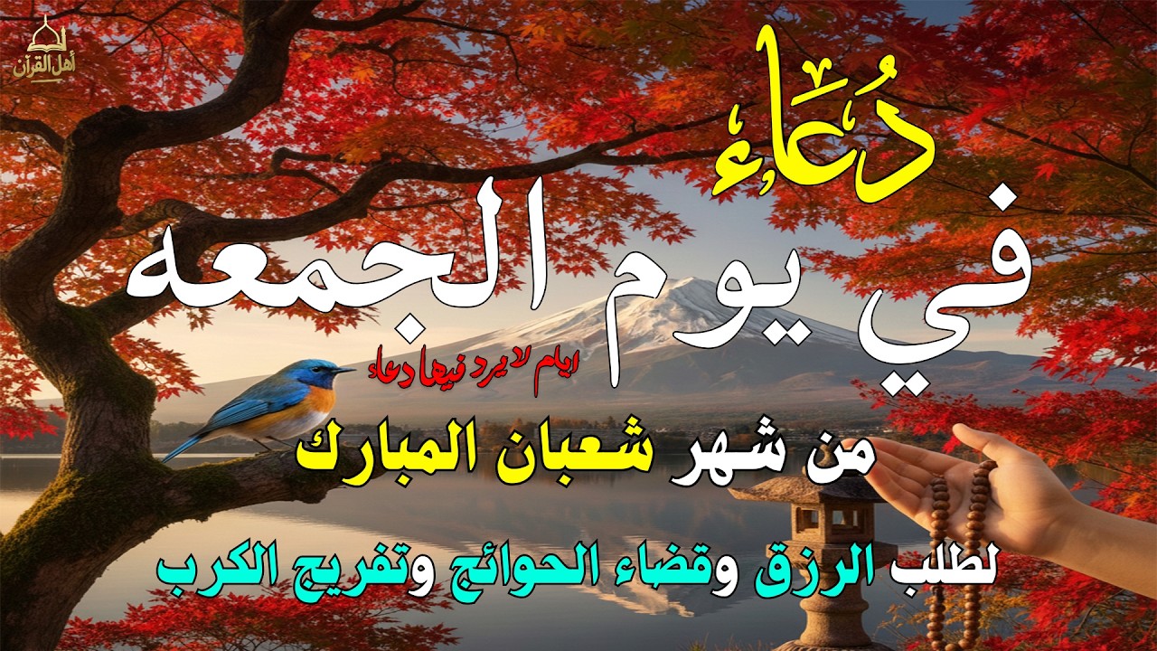 دعاء فى يوم الجمعه المستجاب دعاء في يوم 11 من شهر شعبان للرزق والشفاء العاجل وقضاء الحوائج 🤲(4k)