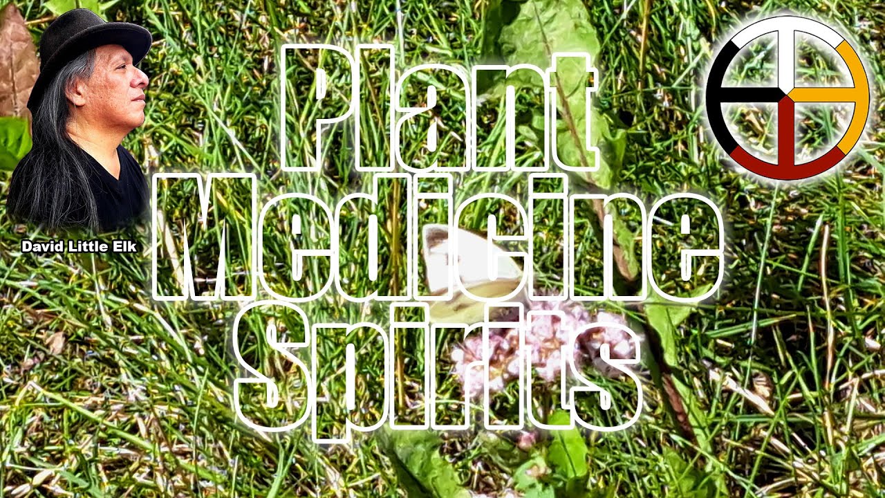 Plant Medicine Spirits #love #peace #plants #medicine #lakota #starknowledge #spirituality