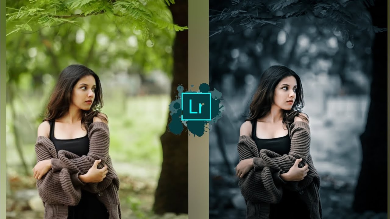 Dark grey tone Lightroom photo editing//Lightroom preset download free//