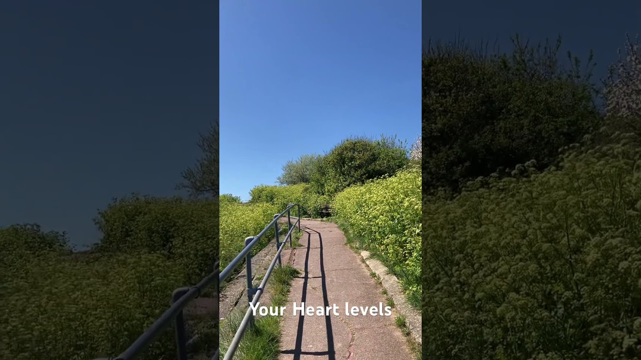 Retreat Walk #mindfulness #walking #reflection