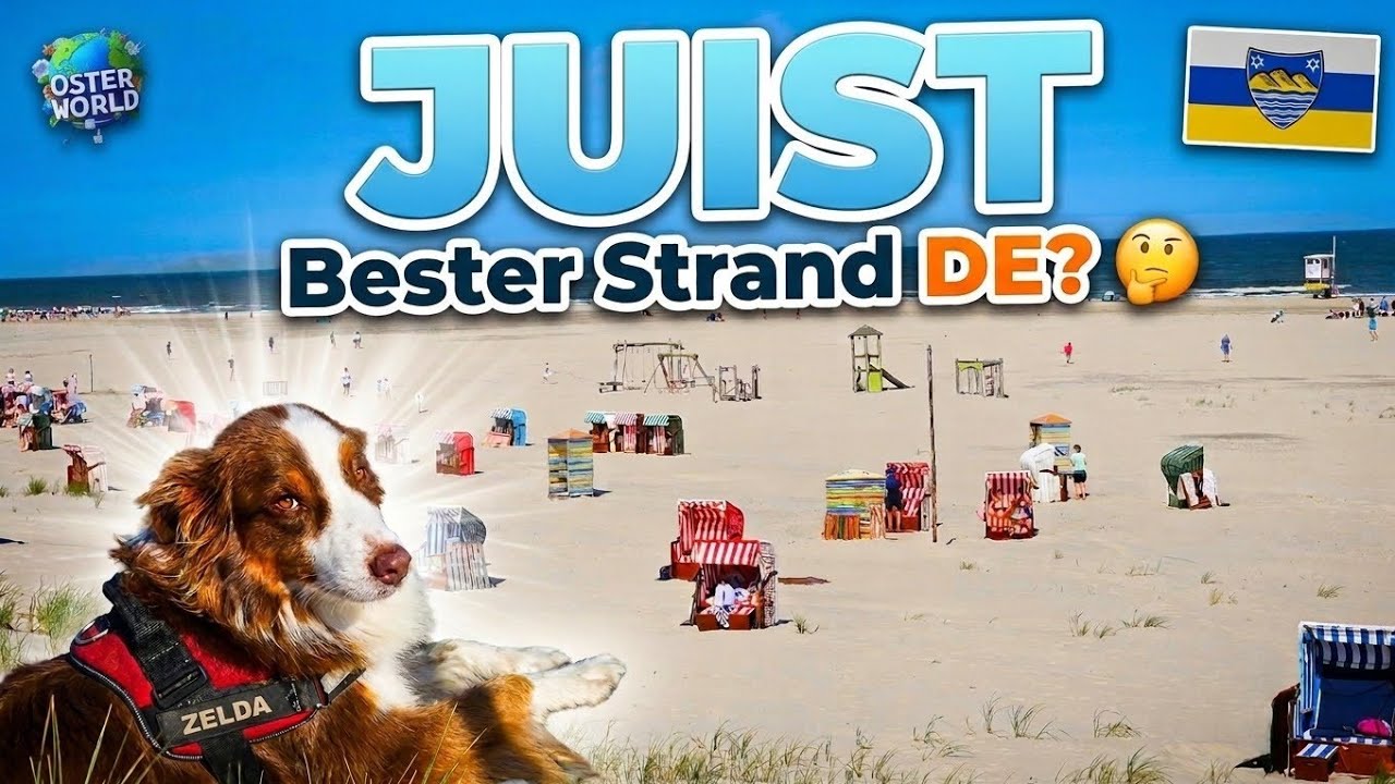 Nordsee Urlaub mit Hund 🏖 JUIST Zauberinsel 2025