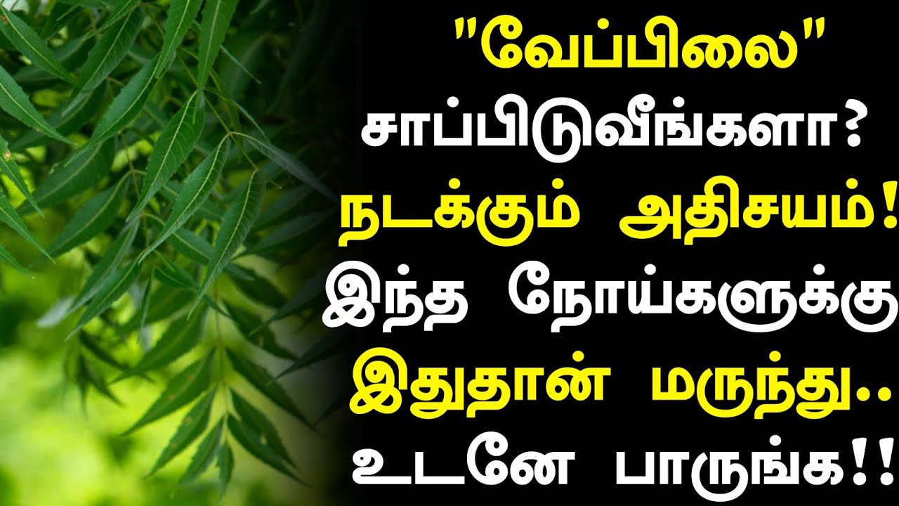 உயிரை காக்கும் வேப்பிலை! | Neem Leaves Health Benefits in Tamil| Neem Leaves Health Tips in Tamil 