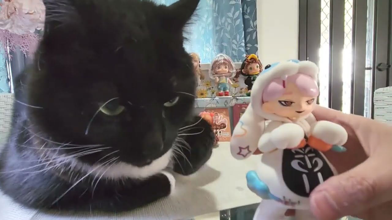 TEMU Blind Boxes - Anita, Aroma Princess,  Heyone, Yandere Girls