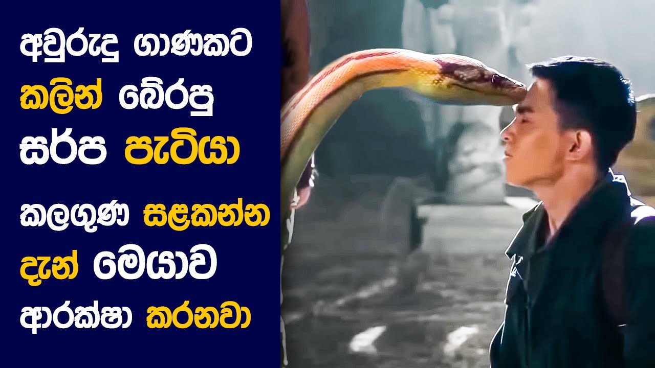 🎬 Python අයිලන්ඩ් : Movie Review Sinhala | Movie Explanation Sinhala | Sinhala Movie Review