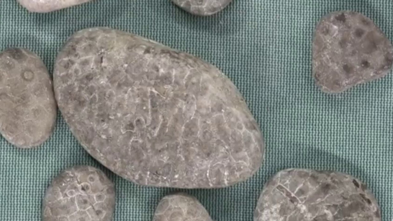 Tricks for finding Petoskey stones
