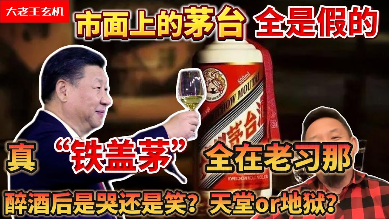 老王来了：真假茅台之谜|98&ldquo;新国标&rdquo;后茅台都是假的！|只有老习爱喝的&ldquo;铁盖茅&rdquo;才是珍品|喝醉酒后的状态，意味着你会进入天堂还是地狱