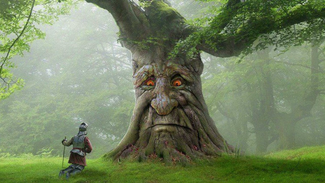 Wise Mystical Tree 10 Hours