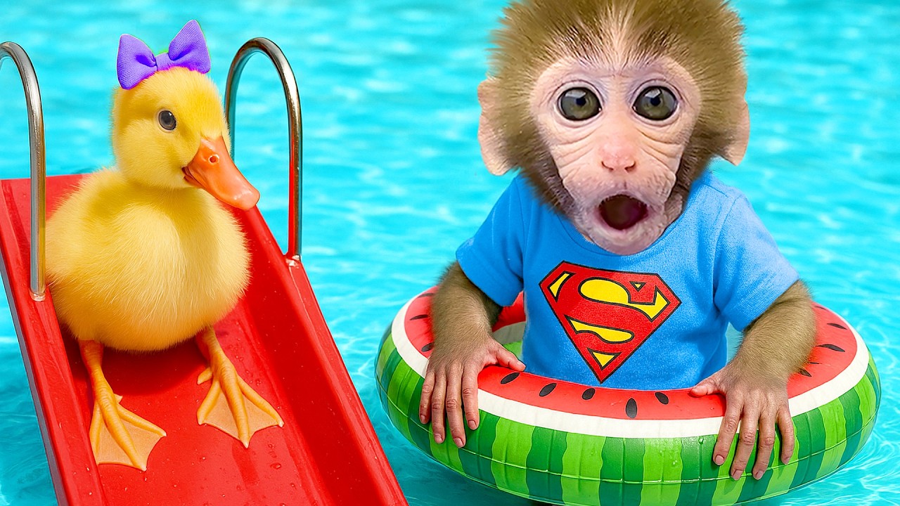 Der kleine Affe BonBon schwimmt fröhlich mit dem kleinen Entchen im sommerlichen Pool