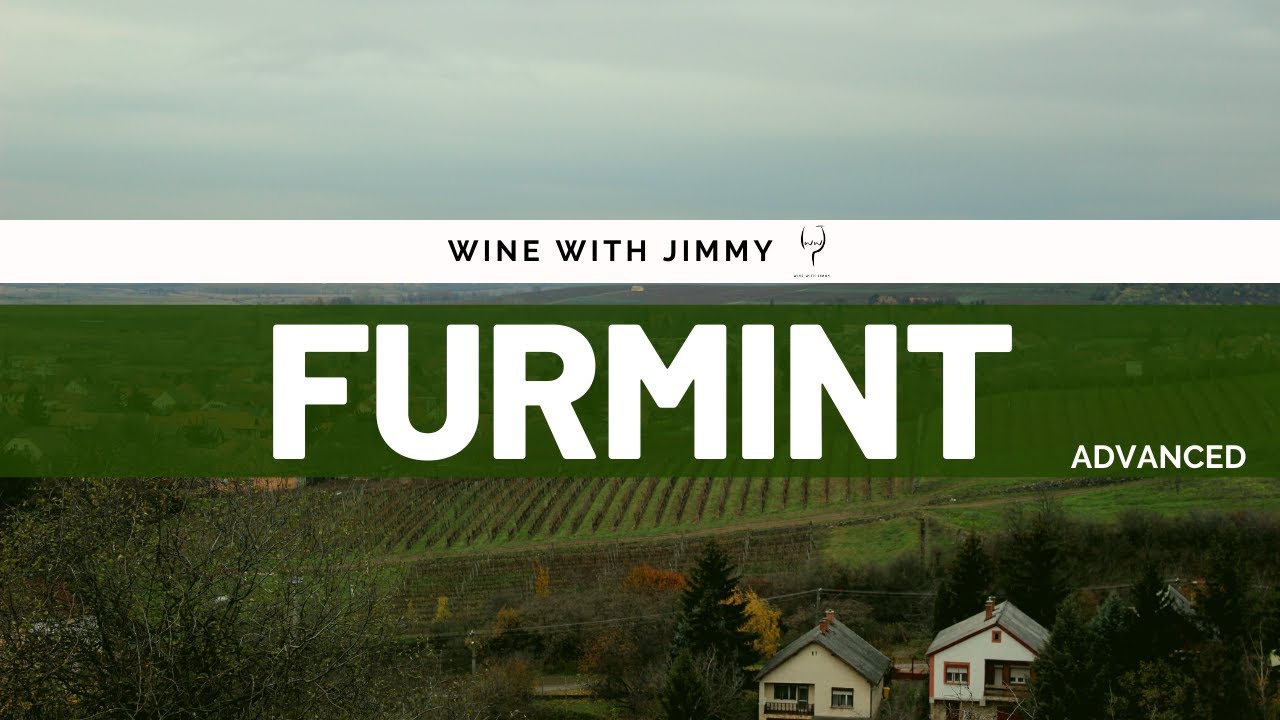 Сорта винограда — усовершенствованная версия Furmint, идеально подходящая для WSET L3 и 4