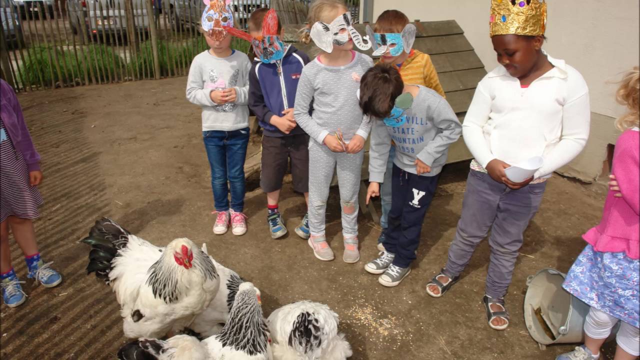 prinses arabella's grote dierenboek