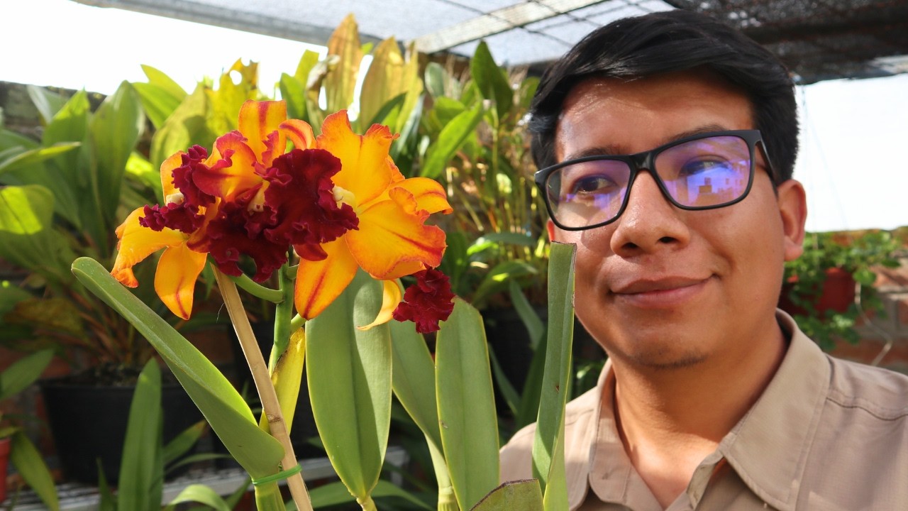 Guia Fácil para Cultivar orquídeas Cattleya en Casa