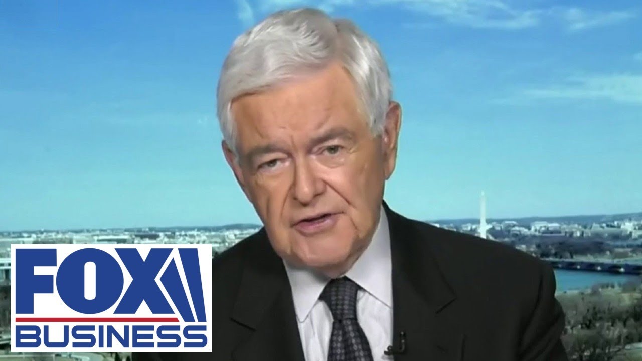 Newt Gingrich: This generation is growing up brainwashed
