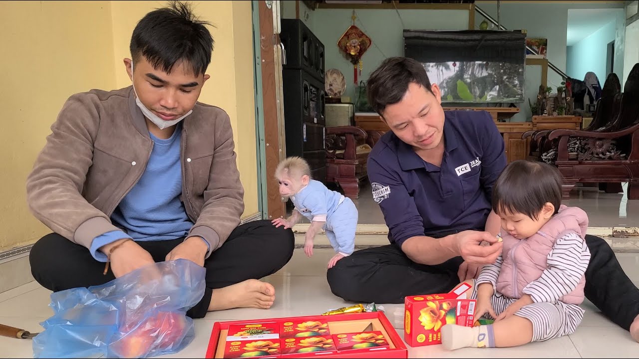 Tini the monkey, along with Dad and the baby, went to visit her grandparents.
