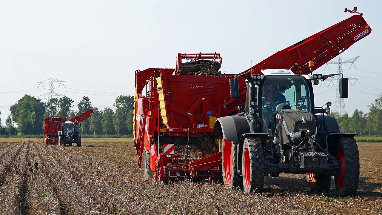 Black Beauty and the Grimme | Gebr. de Zeeuw | Fendt 720 & 724 S4 + Grimme SV 260