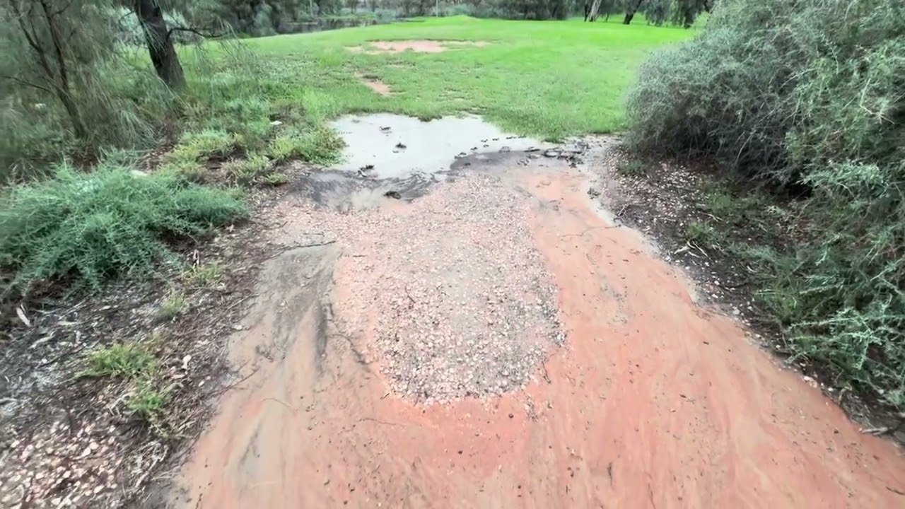  I shared a video of the beautiful rain that fell in our town.The mist and rain made nature fresh pe