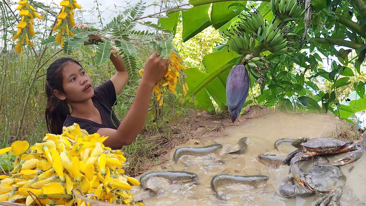 Catch and cook fish for survival food, Crab soup spicy for food, Banana flower eating delicious
