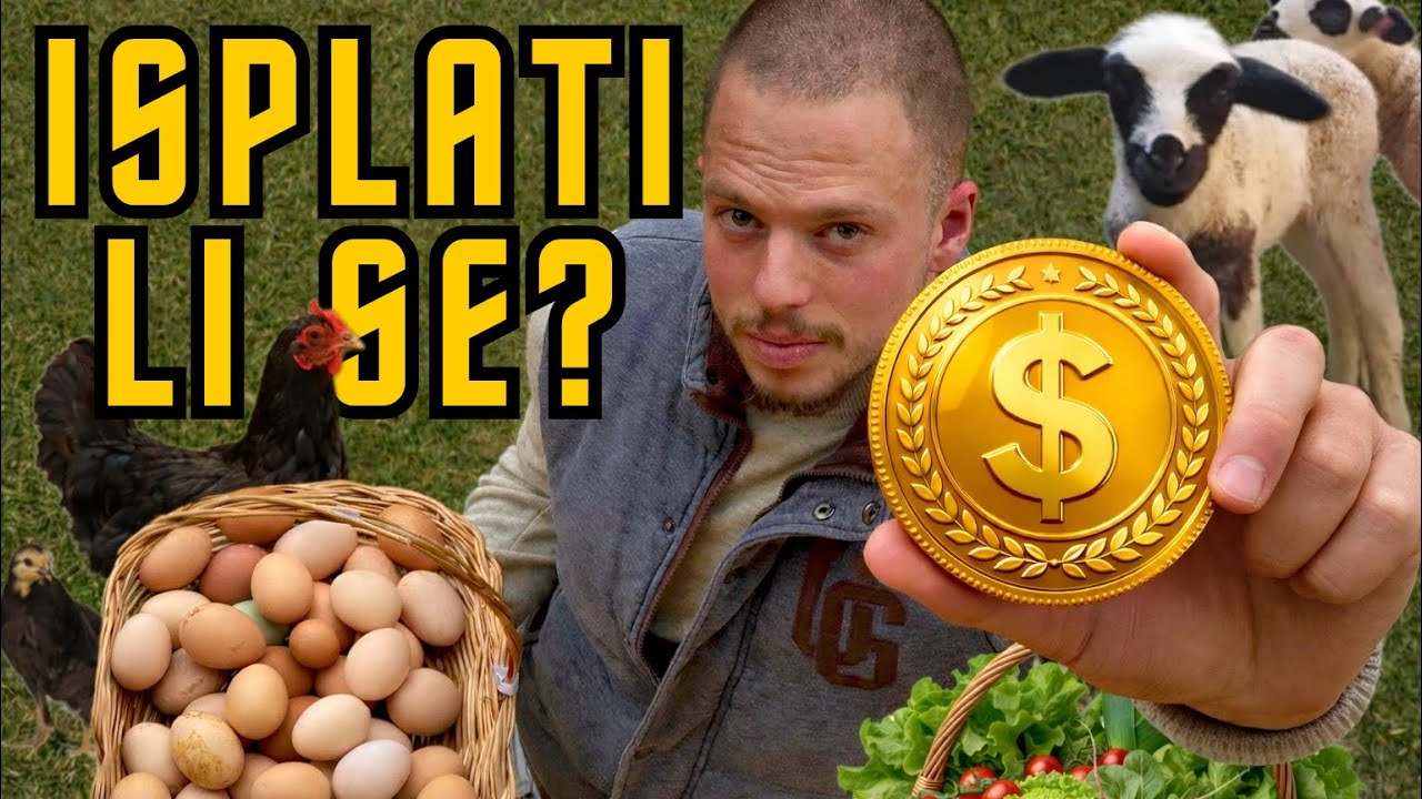 Kolika je realna zarada od životinja na selu? 🐐🐑 Pravi primeri i brojke