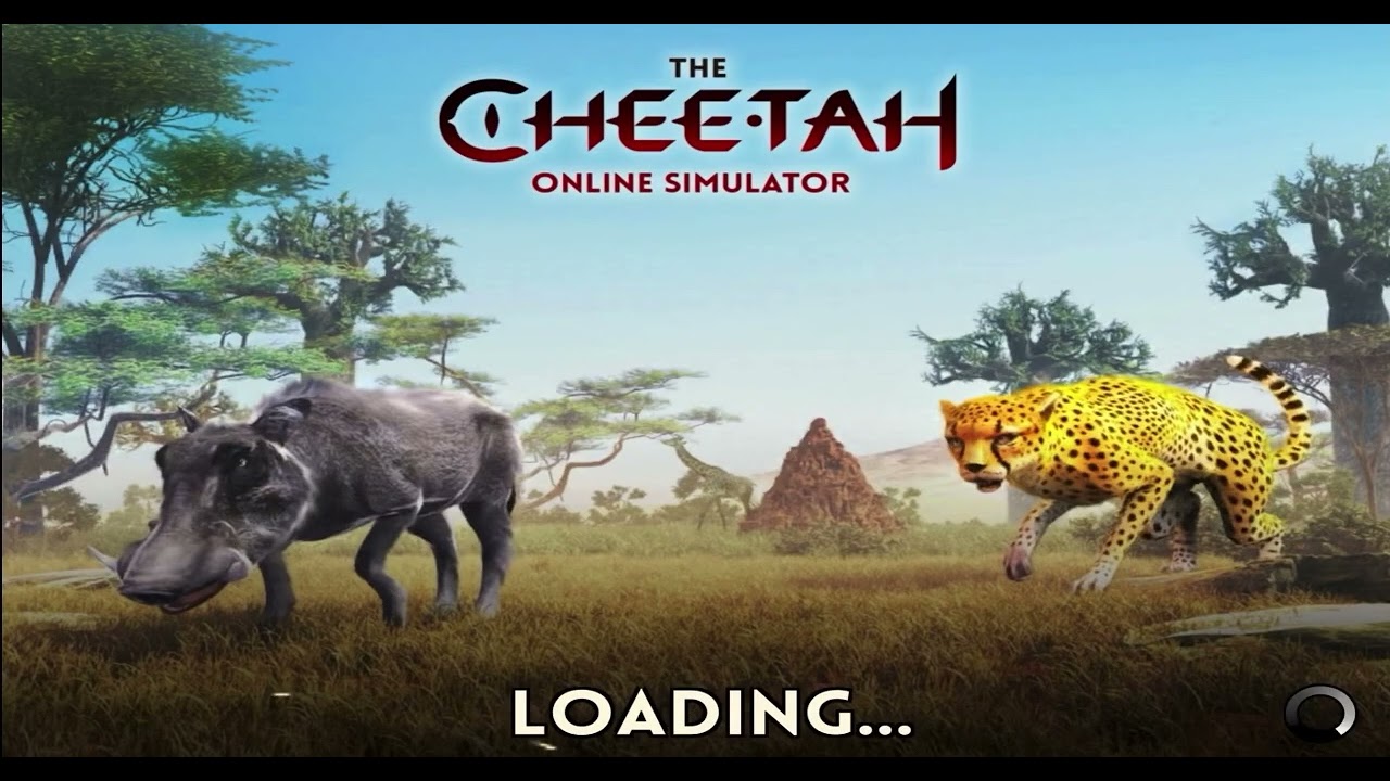 The Cheetah RPG Simulator