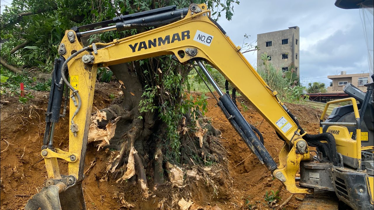 Ph&aacute; C&acirc;y 🌲 #excavator #maydao #mayxuc #viral #xuhuong