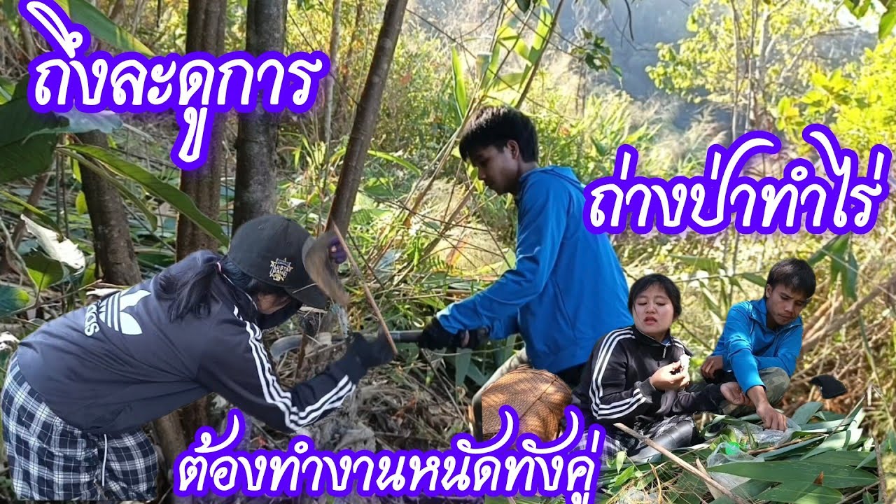 วันแรกที่ผมพาเมียไปถางป่าทำไร่
