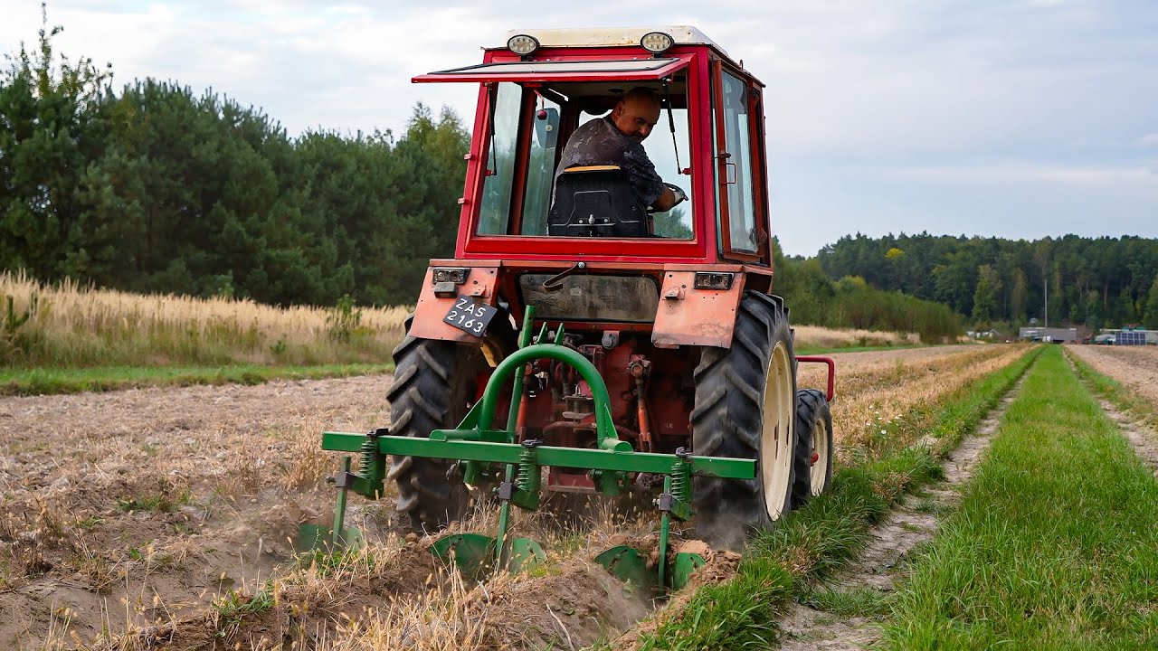 WZMOCNIŁEM OBSYPNIK DO ZIEMNIAKÓW - WKRÓTCE WYKOPKI 2024