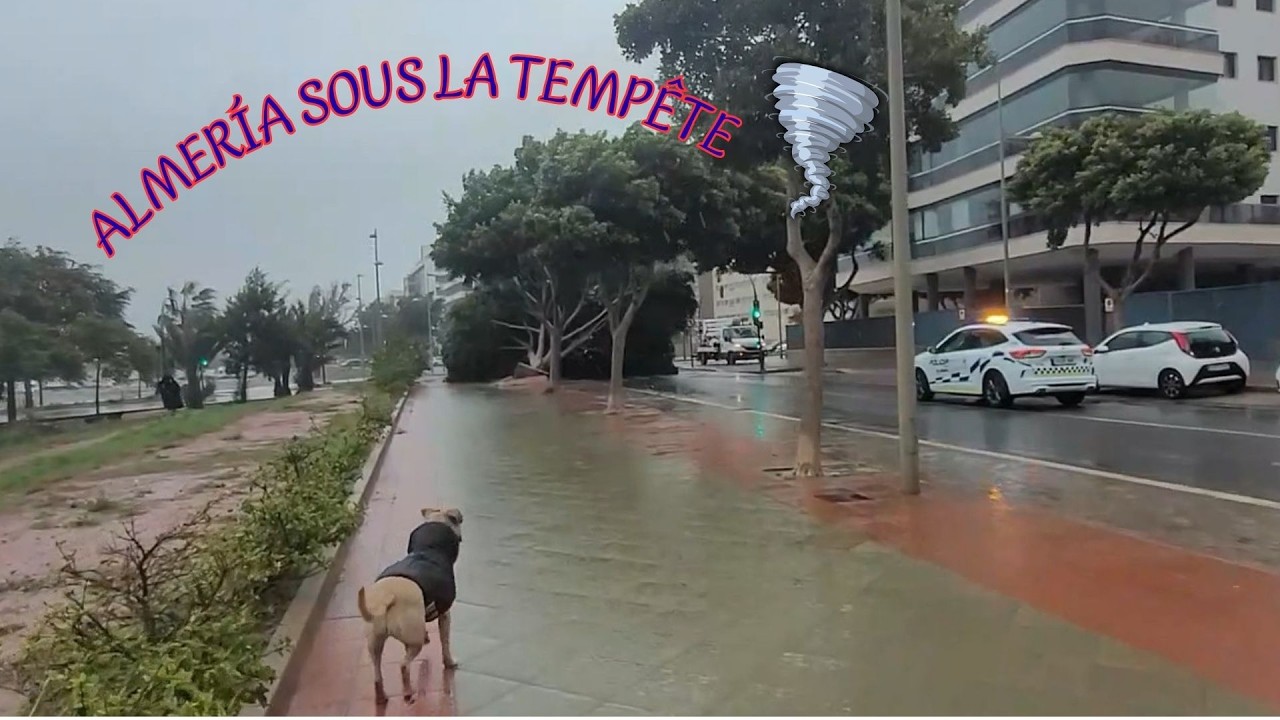 Almería frappée par la tempête ⛈️ Vent violent, inondations et nuit sous tension 09.005