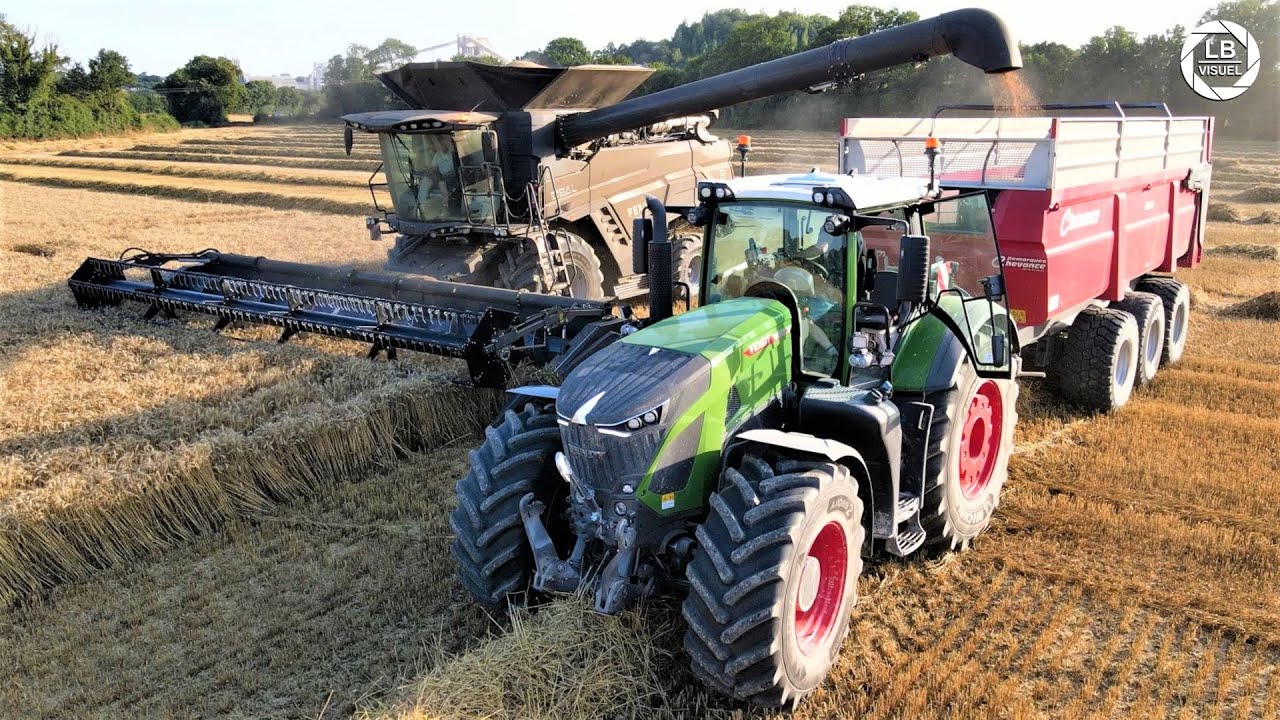 MOISSON DE BLE à 3 MACHINES | HARVEST 2021 | ETA DROUARD