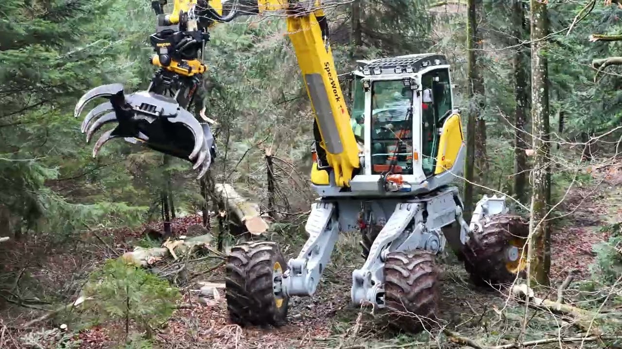 Menzi Muck und Kettensägen im Forsteinsatz 🇨🇭🪓🌲 Teil 1
