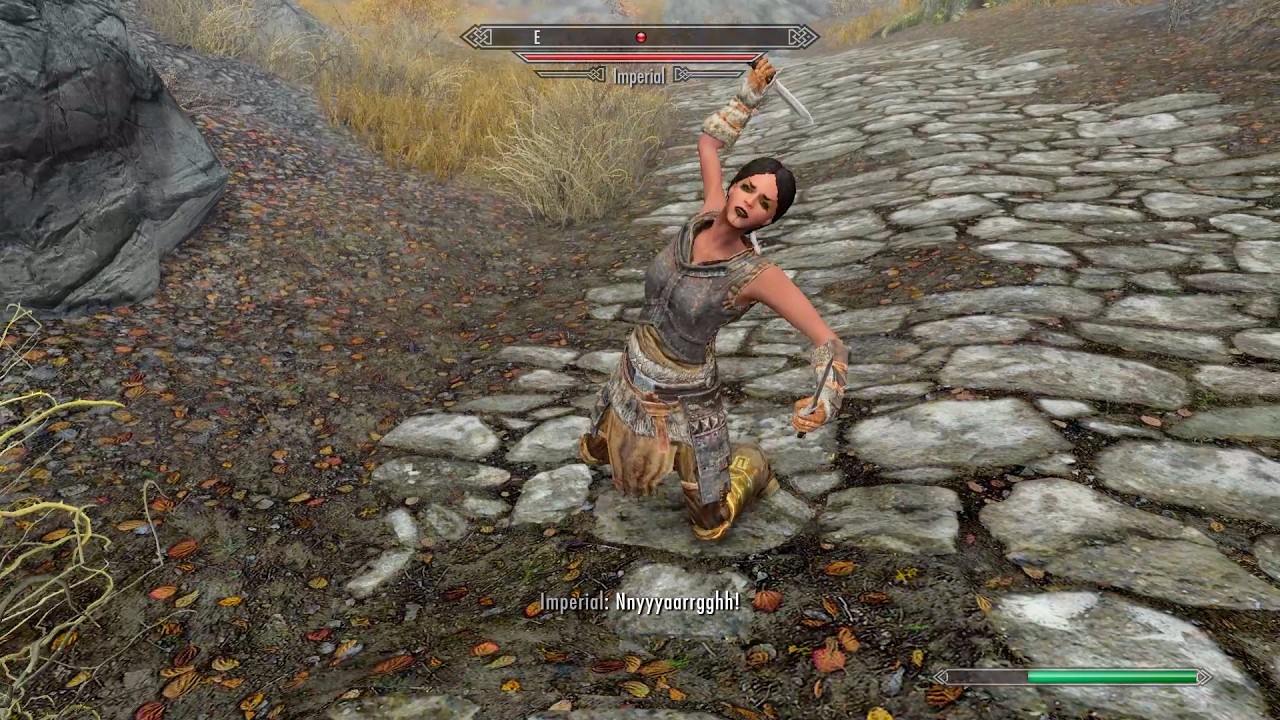 Imperial Woman Challenges My Nord Dragonborn After Spectacular Appearance | Skyrim AE