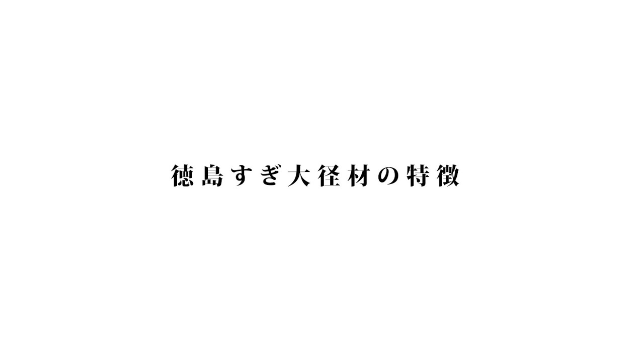 徳島すぎ大径材の特徴
