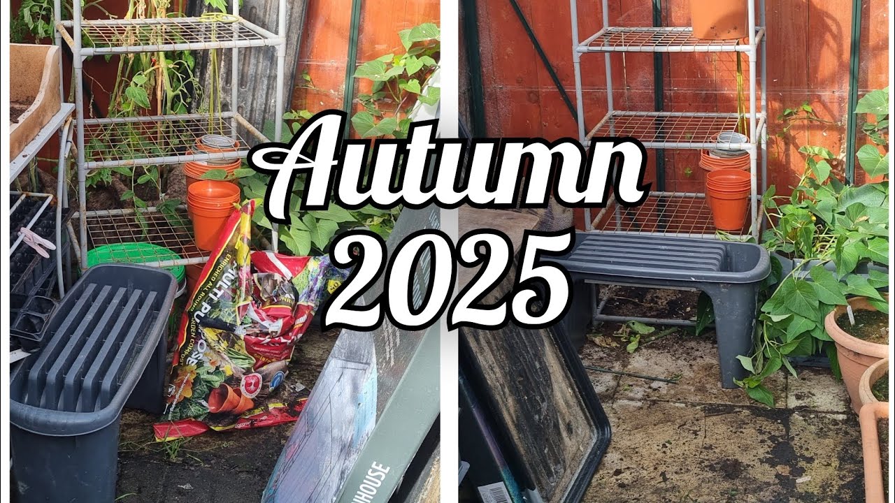 A Few Autumn Jobs in the Cottage Garden. Greenhouse Plans.