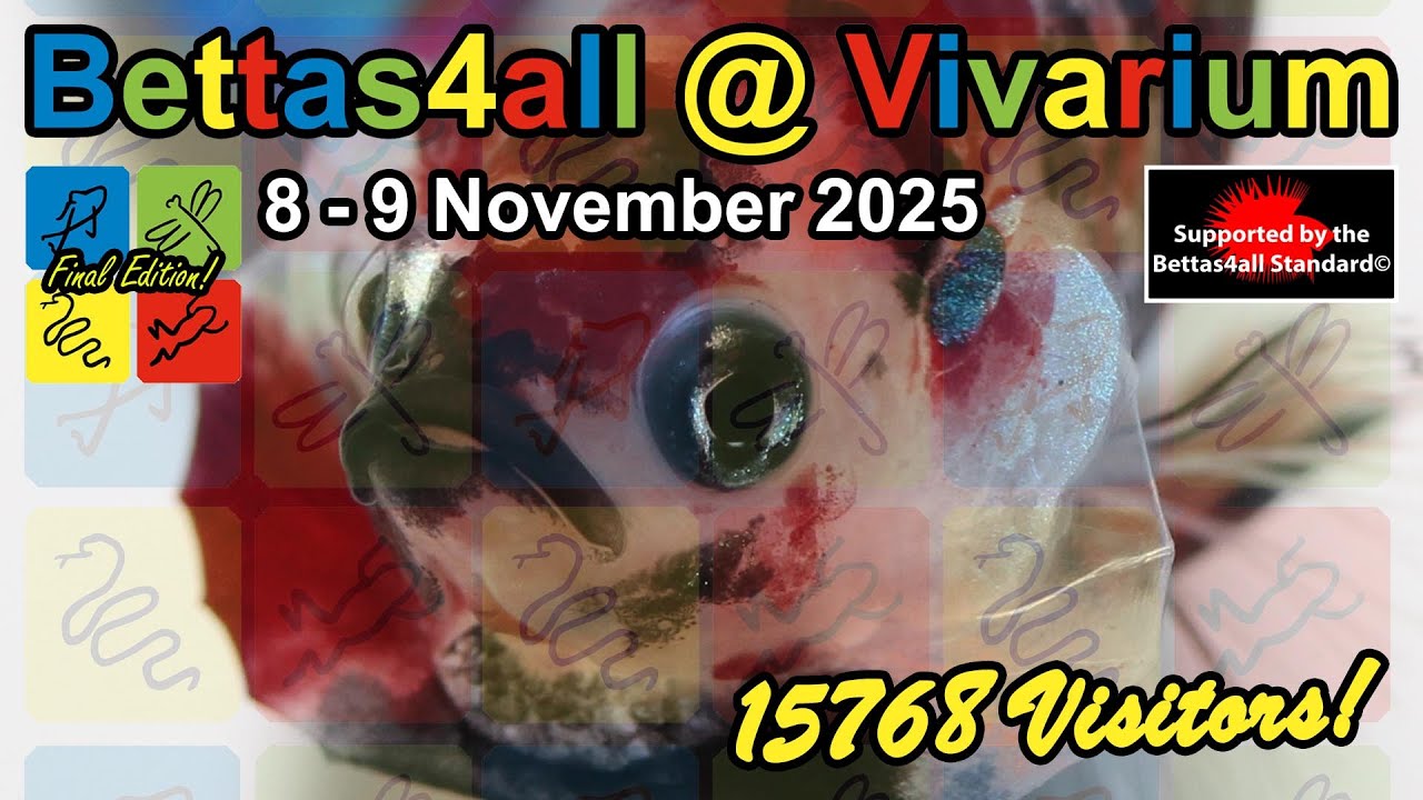 Bettas4all @ Vivarium 2025