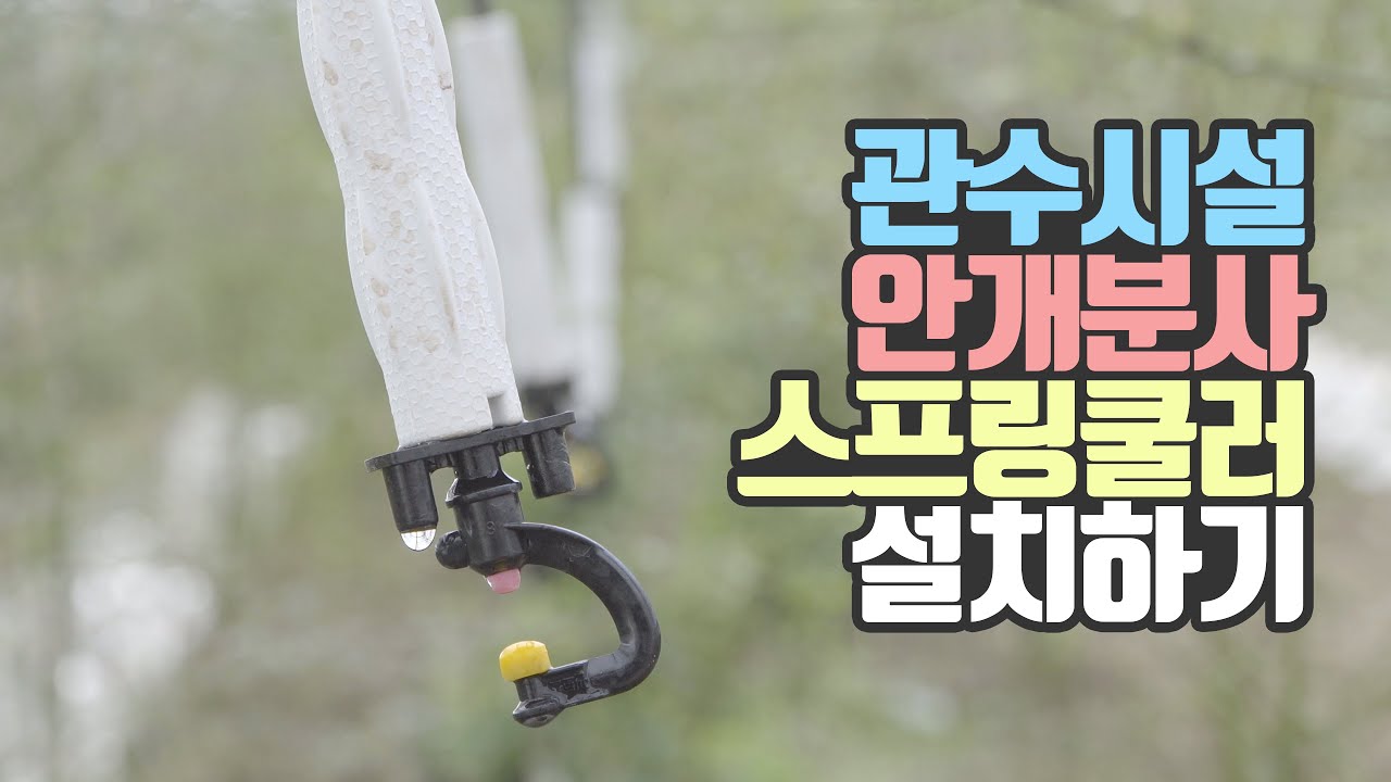 하우스 관수시설 이렇게 해보세요. 안개분사형 미스트 스프링쿨러 설치 방법.