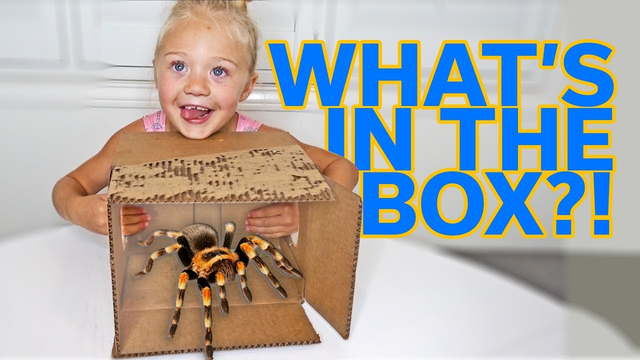EXTREME WHAT'S IN THE BOX CHALLENGE!!!