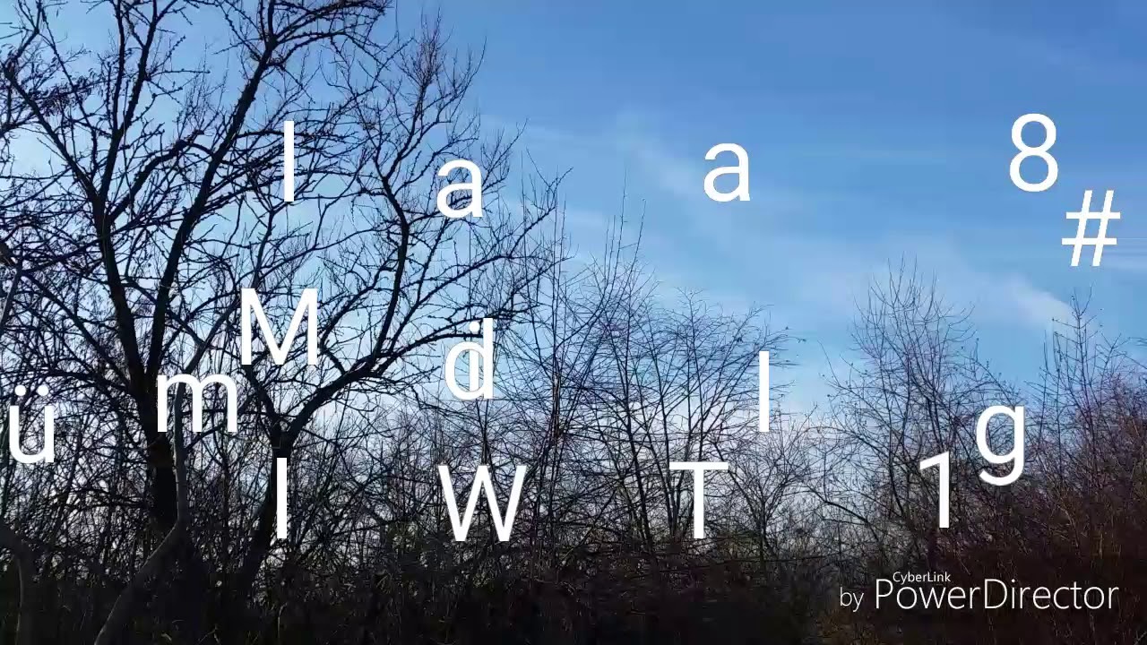 M&uuml;ll im Wald Tag#18