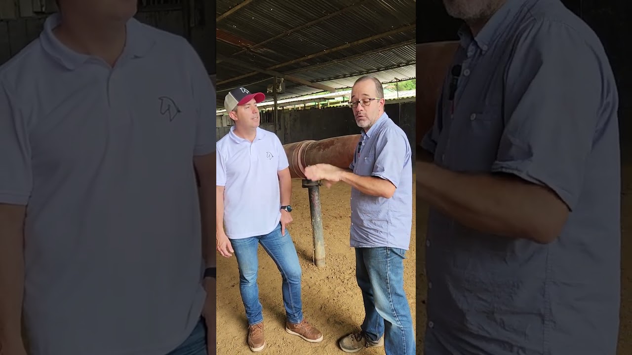 Proceso para colectar semen de un caballo
