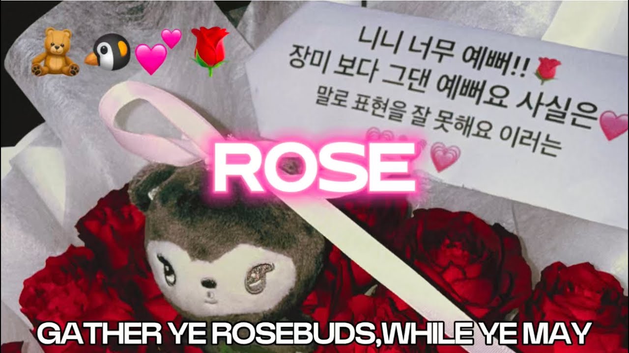 🐧🧸💕 Gather ￼your rosebuds,while you may